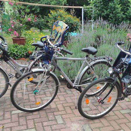 Ferienwohnung Am Olbasee Malschwitz Luaran gambar